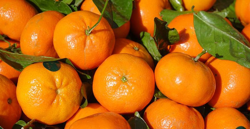 Corigliano: clementine spagnole spacciate per locali, denunciato titolare di un'azienda agrumicola 51 clementine 1