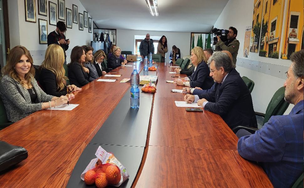 clementine antiviolenza 3 1