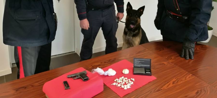 cocaina pistola carabinieri montalto 1