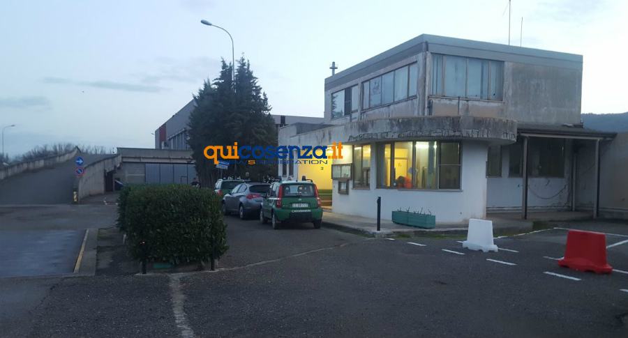 coda di volpe impianto 01