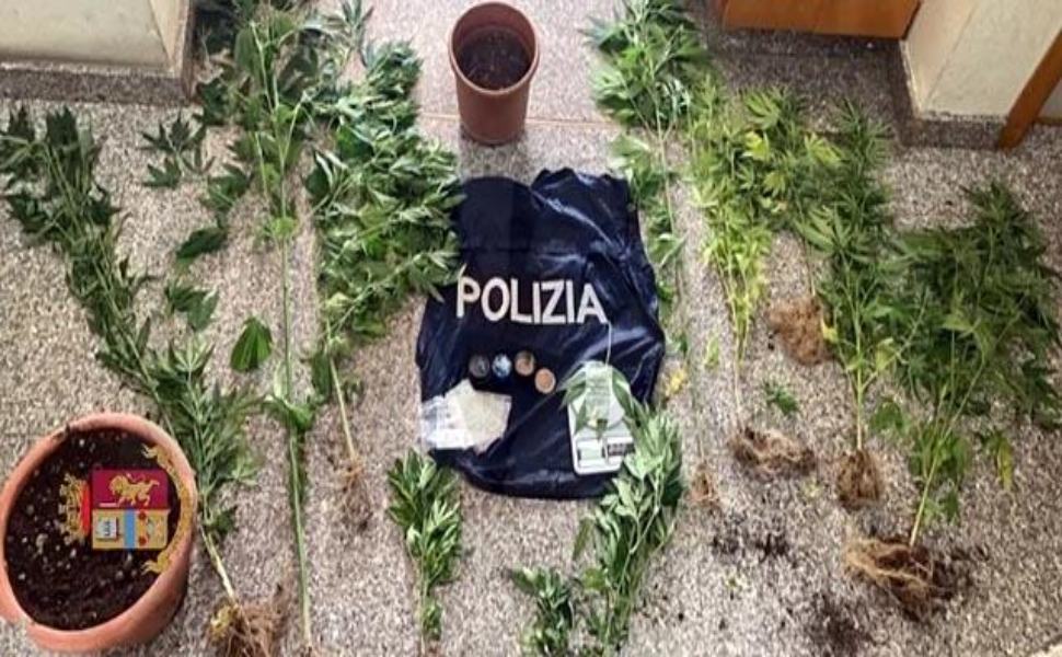 coltivazione marijuana Tropea
