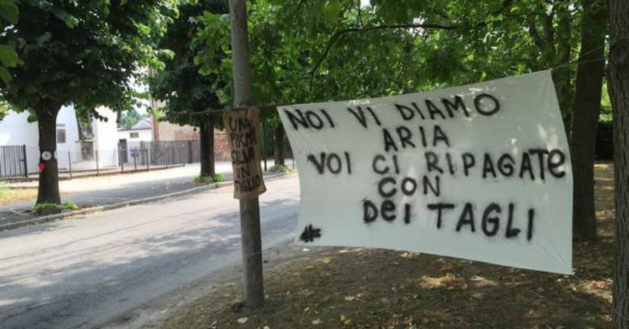 comitato alberi verdi cosenza