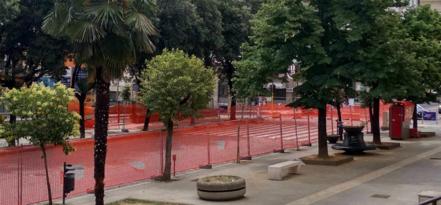 comitato alberi verdi su via roma