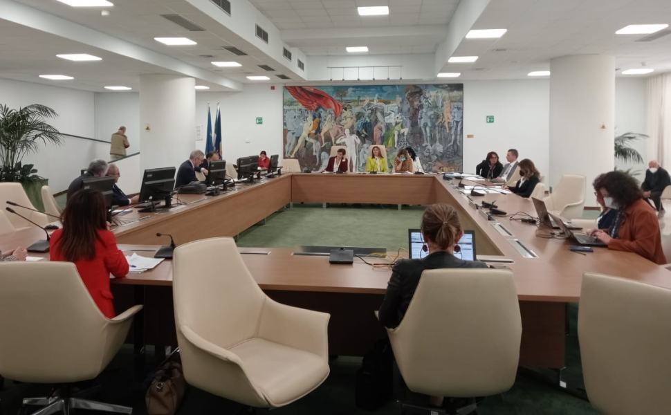 commissione regione per garante disabilita