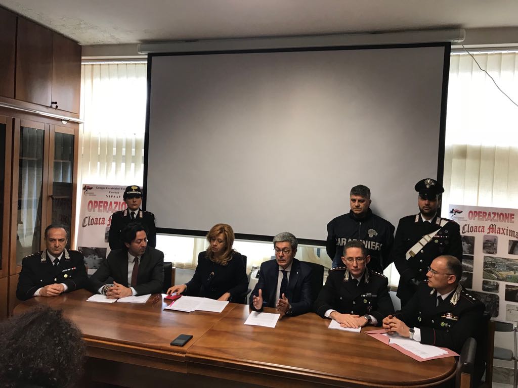 conf stamp coda volpe