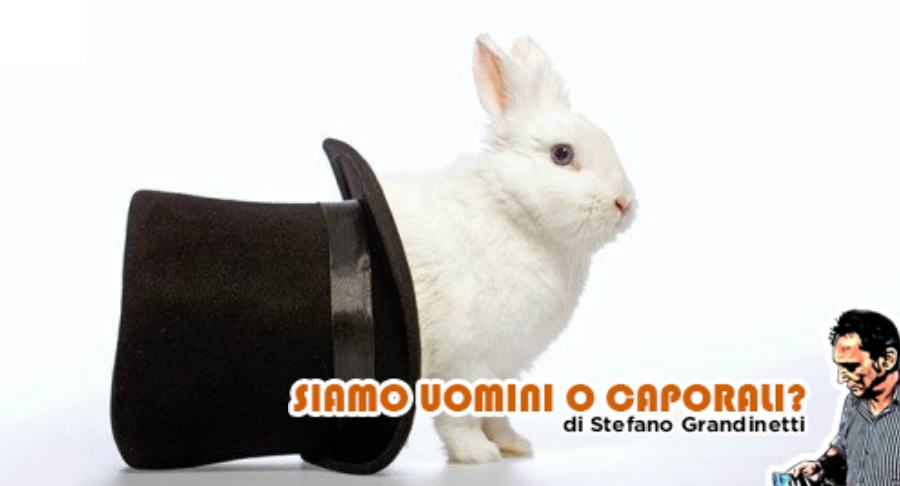 coniglio nel cilindro grandinetti