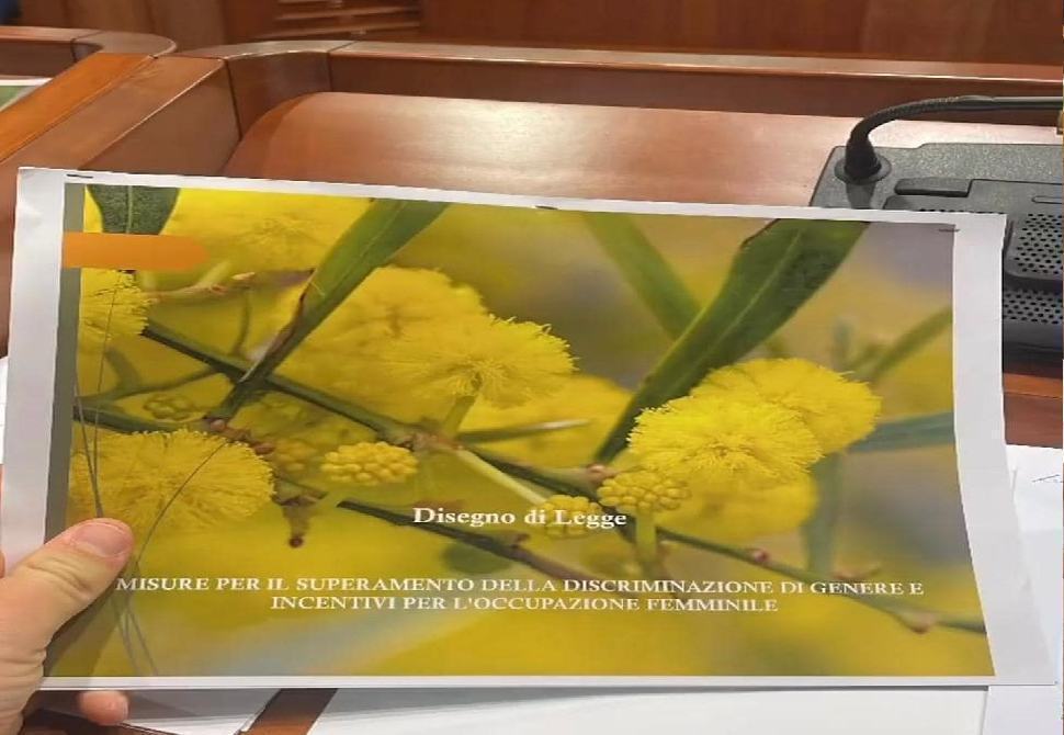 Il Consiglio regionale approva la legge sulla parità di genere. Ma senza un euro 65 consiglio regionale della calabria