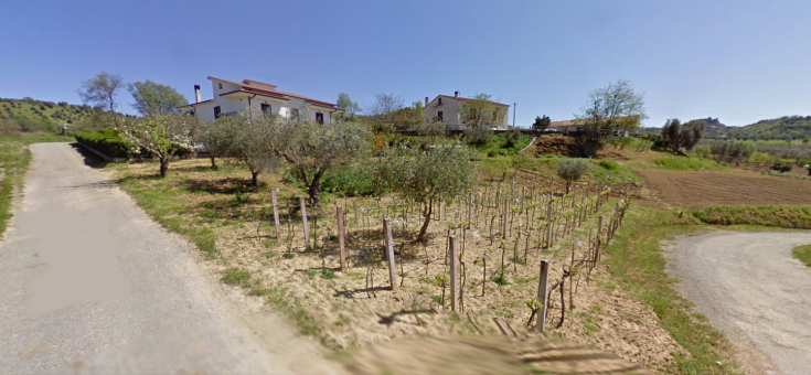 contrada canale bisignano spari1