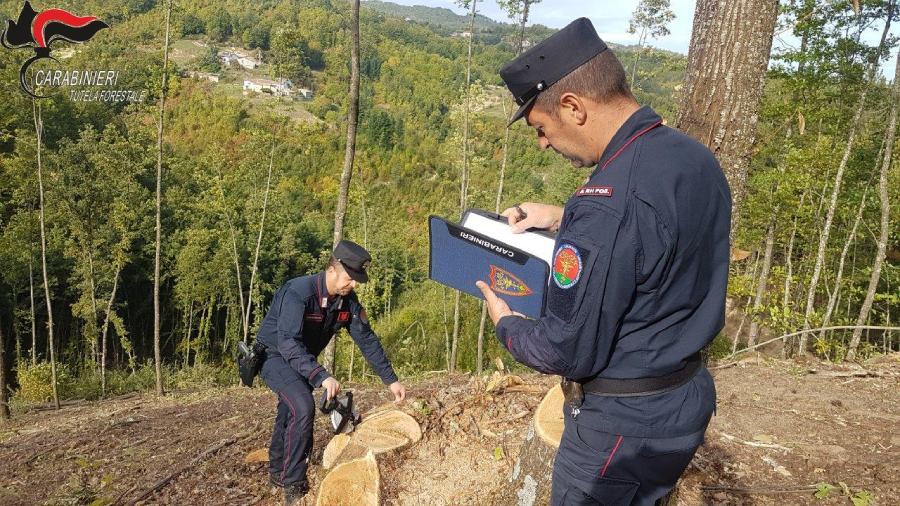 controlli carabinieri Forestali Cosenza