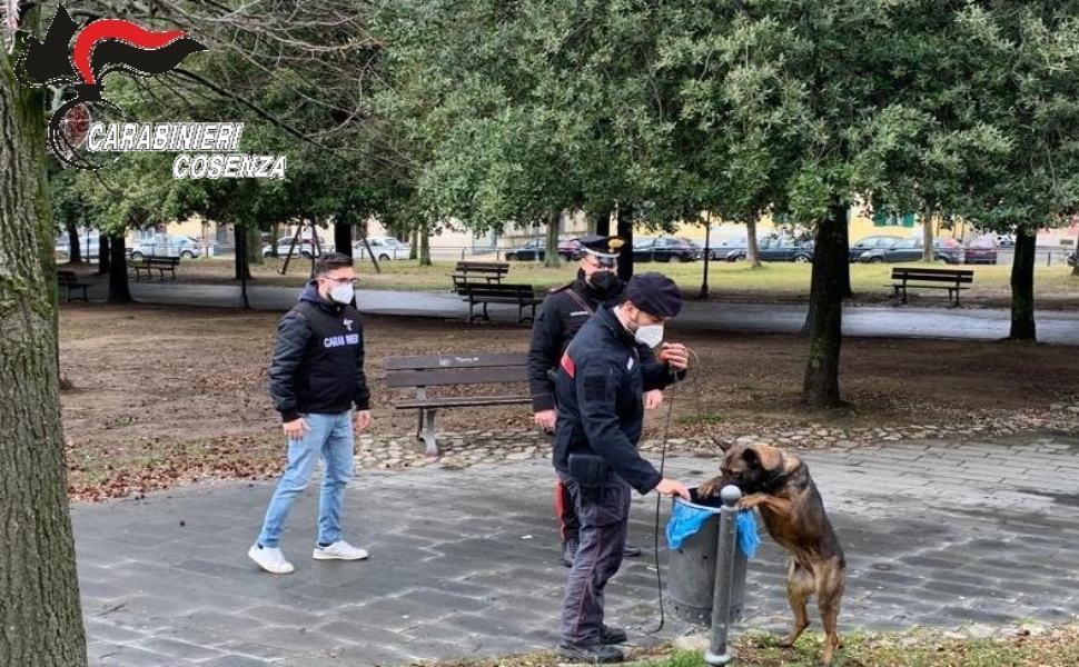 Acri, controlli antidroga dei carabinieri in piazze e scuole 51 controlli carabinieri cosenza cane antidroga piazza 02