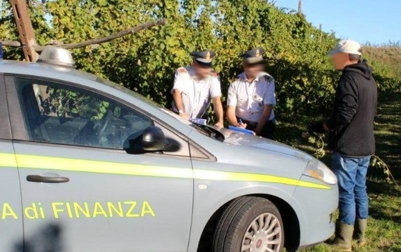 Ennesima frode ai danni dell'Inps scoperta nel Cosentino, 336 persone denunciate 51 controlli guardia finanza