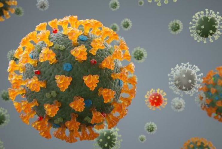 coronavirus 1 10