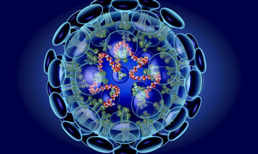 coronavirus 30