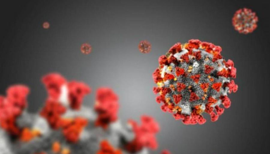 coronavirus covid 19