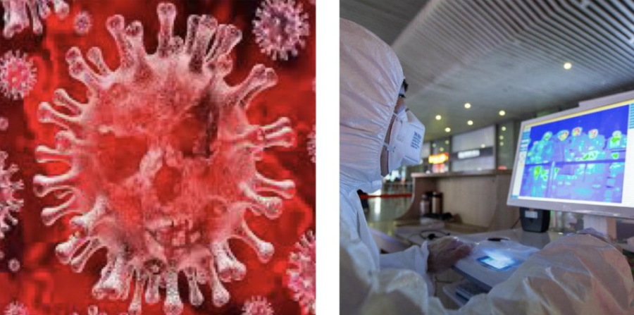 coronavirus laboratori