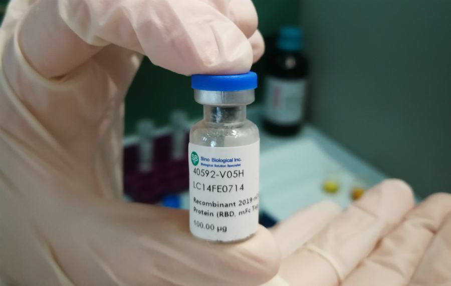 coronavirus unical 05