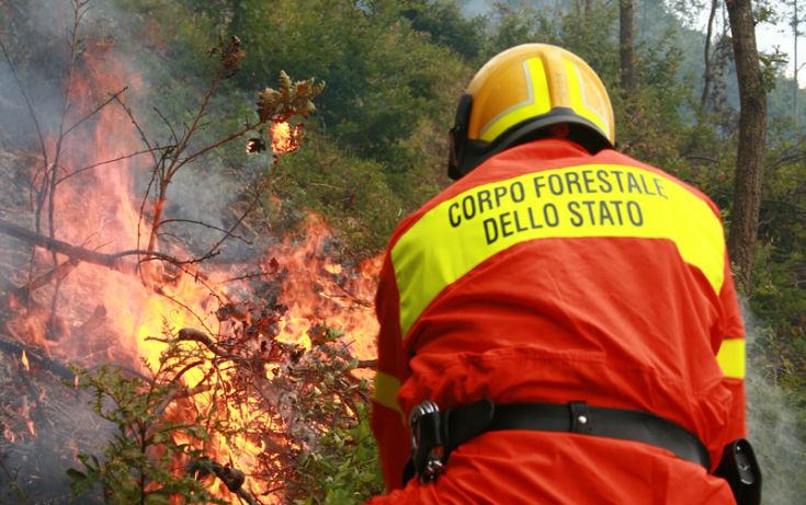 Brucia la Calabria e la provincia di Cosenza. Il Commissario capo del CFS, Rosetti: "Il 98% degli incendi è di origine dolosa" (AUDIO INTERVISTA) 236 corpo forestale incendio