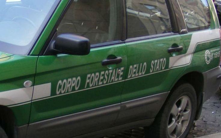 corpo forestale