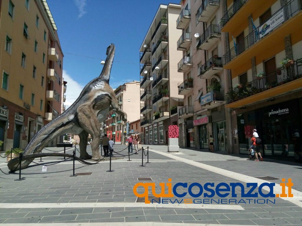 cosenza ferragosto 4 2