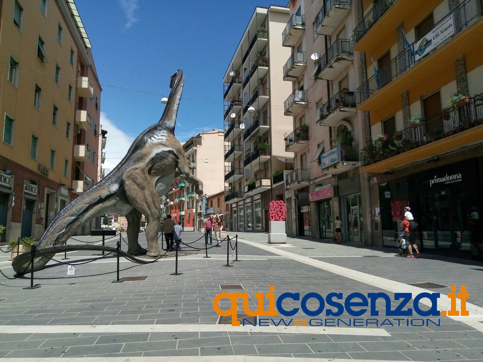 cosenza ferragosto 4