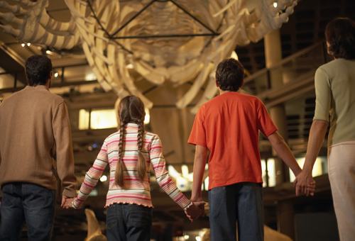 Domani Giornata Nazionale delle Famiglie al Museo anche a Cosenza e provincia 74 cosenza famiglia museo 2014 th