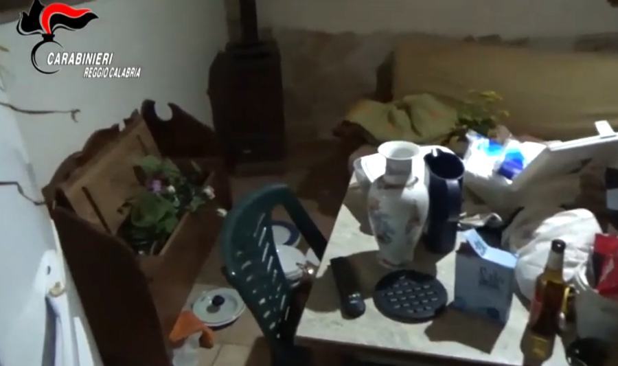 covo latitante delfino