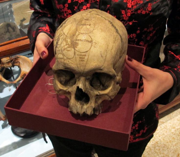 cranio