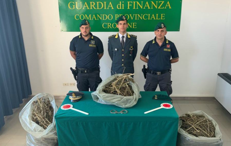 crotone sequestro 13 chili marijuana