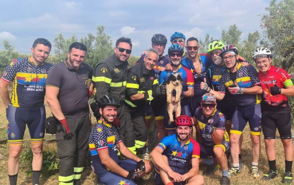 Cucciolo finisce in un pozzo, salvato dai vigili del fuoco 51 cucciolo cane salvato vigili fuoco