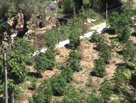 d0770be07e955d308ef8267b7a2d7529