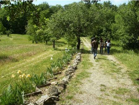 d10067ff55252f62e41fb9567d17fbec