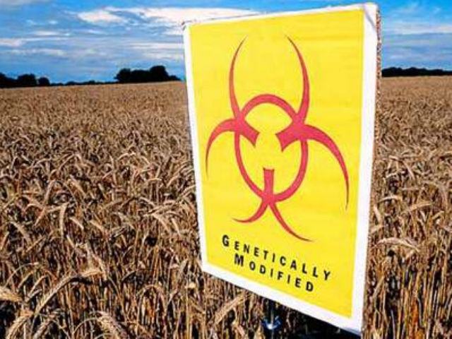 d161f4a106d164569f18b347f7a0ccc0