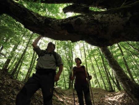 d19488a8cd269fce1dd88505ab2b2fa6