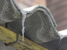 d1b65f04580705ff0264942ab8ee1cfc