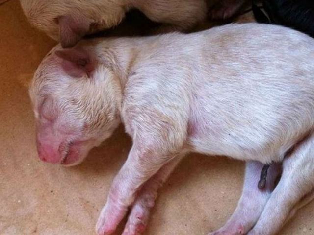 d21f6fdc6578656bc78ff38327b545e0