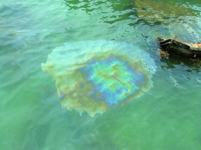 d255b694f9f35aa005e9338c6af15804