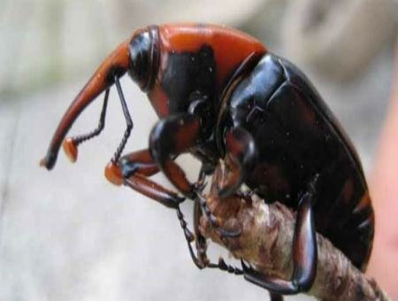 d42b6cc23e41996c46391423365a19a6