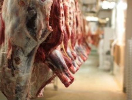 d4433fe0e701267efde9f962b3f3c3c9