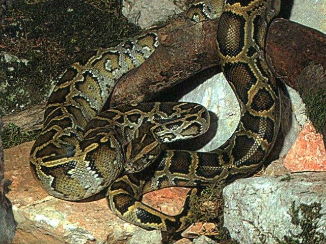 d445b01ba03740c92cedaef09d42b01f