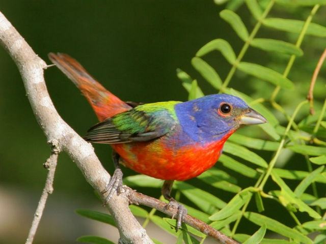 d56e0f0e5b1f2c75b0798bb2b0a4e90d