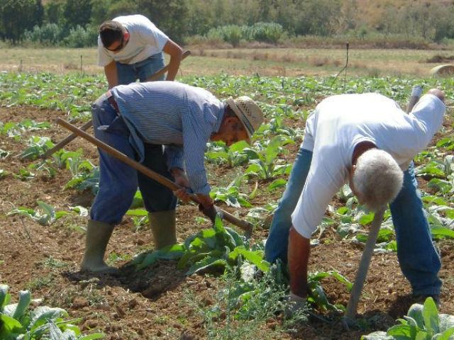 d7fa6a061b746282325f550ec3daed15