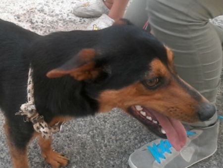 d8b608be8a41a429a7a1a3b5f56551d4