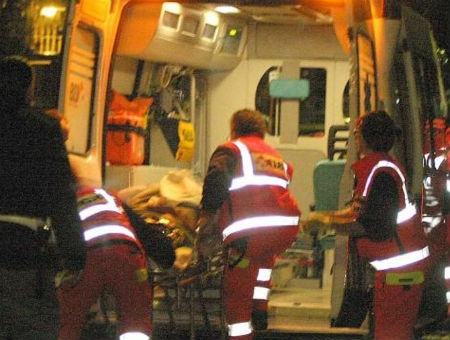 d8b8208db6a6a3b6d05d2f41dae8b02d