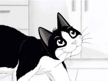 da24b0600975e4412077f581b4fa9bf6