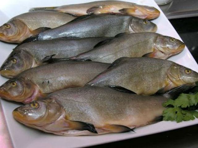 da2cd1ae610e6e4c1d898a7552b7bbf8