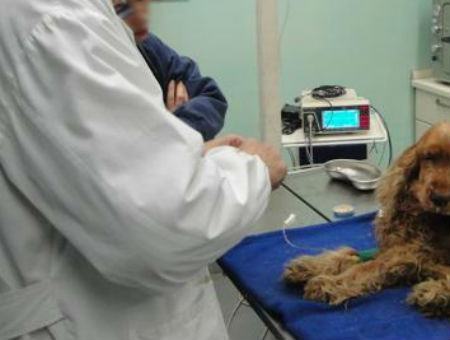 db5f65bc335a3fa01b723f79b33a0d82