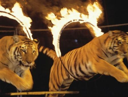 db8a16f8901e1bc543c7f42c0a840ff7