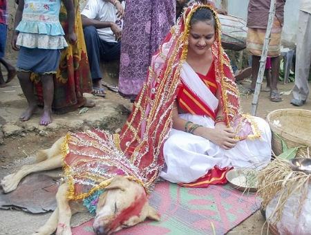 dbac86da65b46ef2b232b45ef8e3d28f