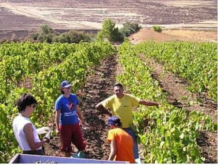 dbe4ef98d38a97c611676bb6aeeb7cf1