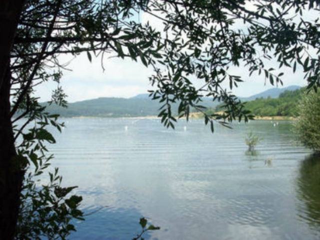 dc52d5c5f54b7db2dfd2aae465dc6ccd